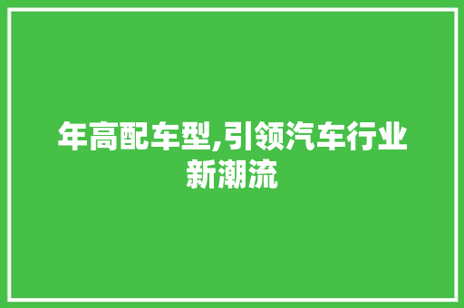 年高配车型,引领汽车行业新潮流