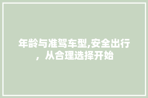 年龄与准驾车型,安全出行，从合理选择开始