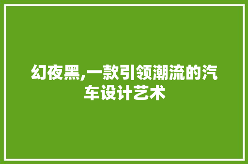 幻夜黑,一款引领潮流的汽车设计艺术