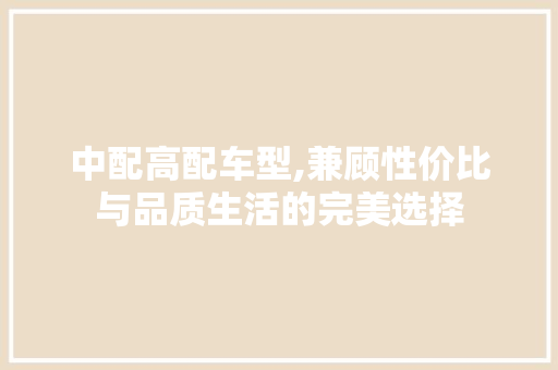 中配高配车型,兼顾性价比与品质生活的完美选择