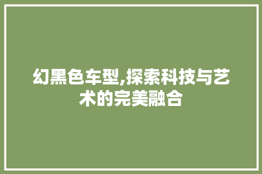 幻黑色车型,探索科技与艺术的完美融合