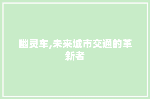 幽灵车,未来城市交通的革新者