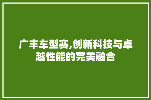 广丰车型赛,创新科技与卓越性能的完美融合