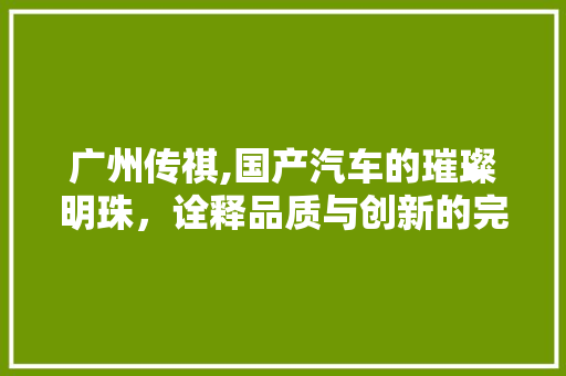 广州传祺,国产汽车的璀璨明珠，诠释品质与创新的完美结合