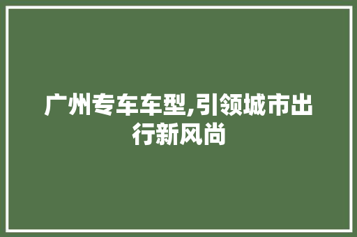 广州专车车型,引领城市出行新风尚
