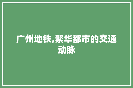 广州地铁,繁华都市的交通动脉