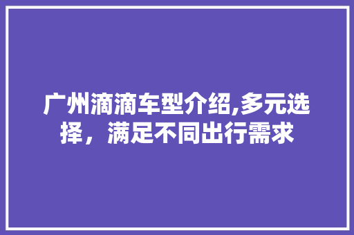 广州滴滴车型介绍,多元选择，满足不同出行需求