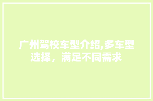 广州驾校车型介绍,多车型选择，满足不同需求