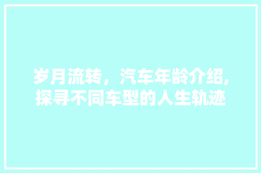 岁月流转，汽车年龄介绍,探寻不同车型的人生轨迹
