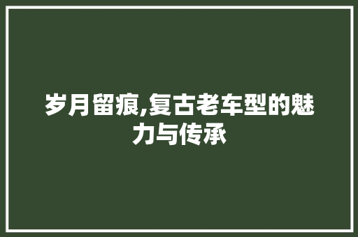 岁月留痕,复古老车型的魅力与传承