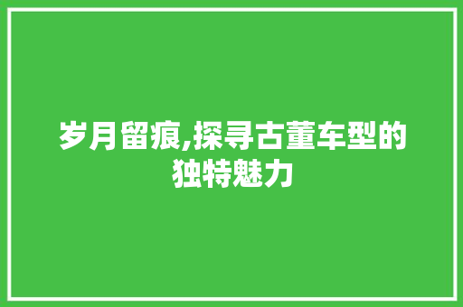 岁月留痕,探寻古董车型的独特魅力
