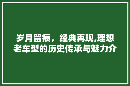 岁月留痕，经典再现,理想老车型的历史传承与魅力介绍
