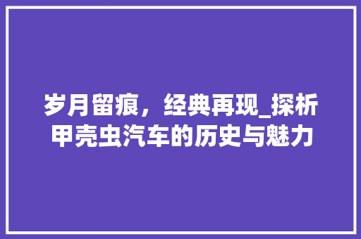 岁月留痕，经典再现_探析甲壳虫汽车的历史与魅力