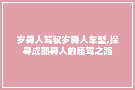 岁男人驾驭岁男人车型,探寻成熟男人的座驾之路