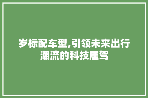 岁标配车型,引领未来出行潮流的科技座驾