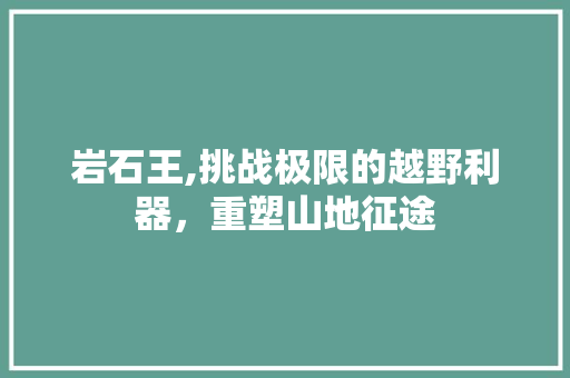 岩石王,挑战极限的越野利器，重塑山地征途
