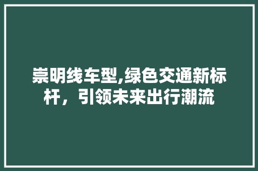 崇明线车型,绿色交通新标杆，引领未来出行潮流