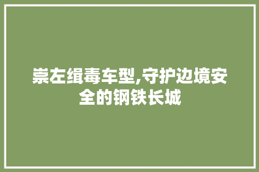 崇左缉毒车型,守护边境安全的钢铁长城