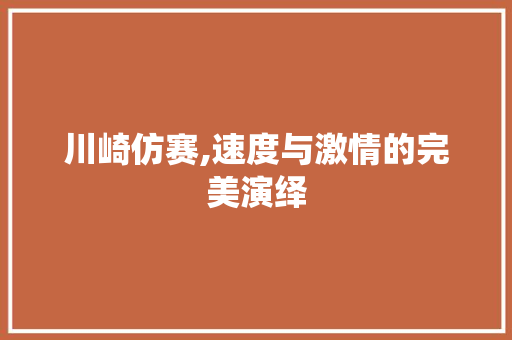 川崎仿赛,速度与激情的完美演绎