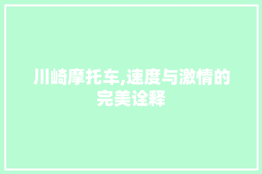 川崎摩托车,速度与激情的完美诠释