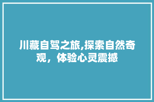 川藏自驾之旅,探索自然奇观，体验心灵震撼