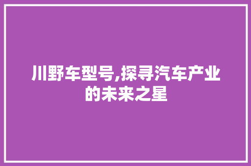 川野车型号,探寻汽车产业的未来之星