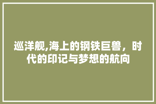 巡洋舰,海上的钢铁巨兽，时代的印记与梦想的航向