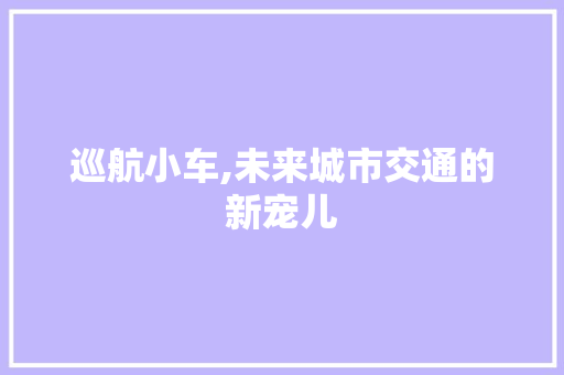 巡航小车,未来城市交通的新宠儿