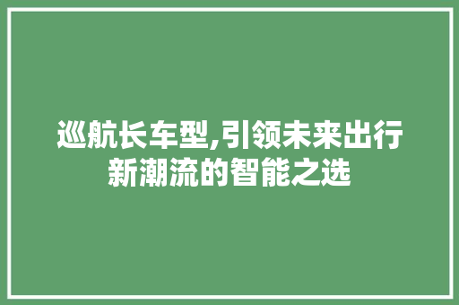巡航长车型,引领未来出行新潮流的智能之选