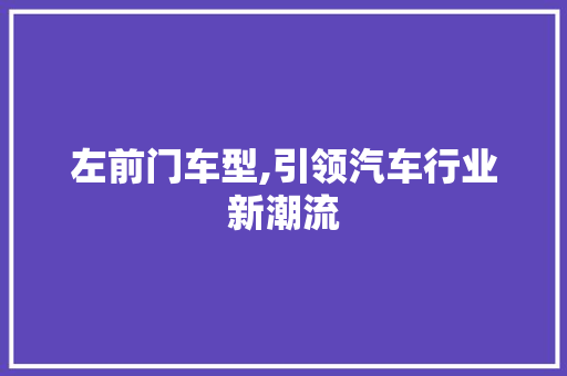 左前门车型,引领汽车行业新潮流