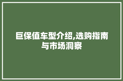 巨保值车型介绍,选购指南与市场洞察