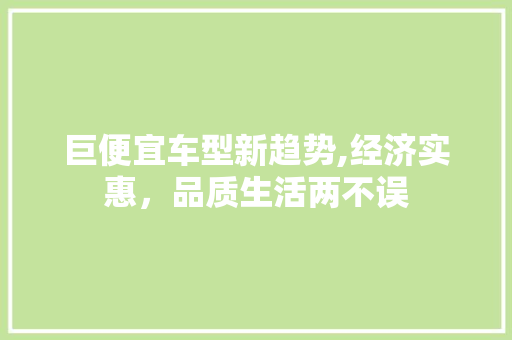 巨便宜车型新趋势,经济实惠，品质生活两不误