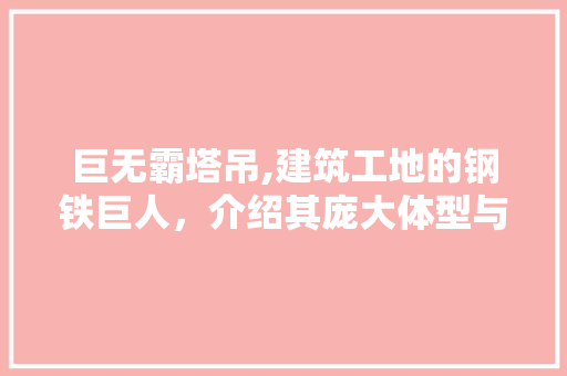 巨无霸塔吊,建筑工地的钢铁巨人，介绍其庞大体型与卓越功能