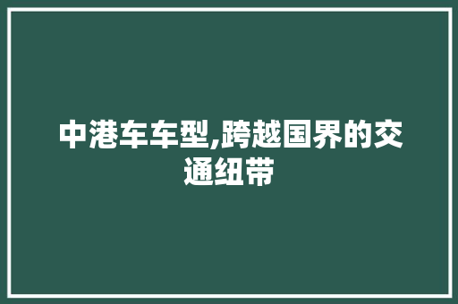 中港车车型,跨越国界的交通纽带