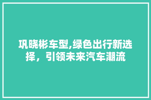 巩晓彬车型,绿色出行新选择，引领未来汽车潮流