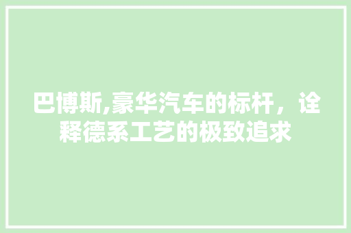 巴博斯,豪华汽车的标杆，诠释德系工艺的极致追求