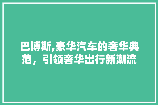 巴博斯,豪华汽车的奢华典范，引领奢华出行新潮流