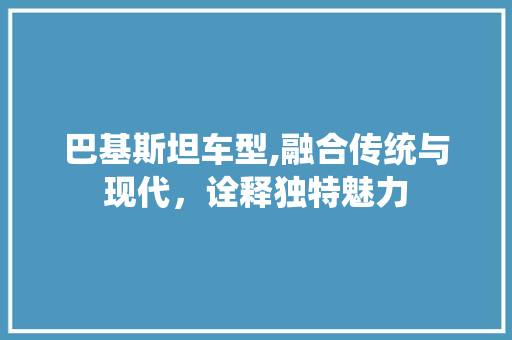 巴基斯坦车型,融合传统与现代，诠释独特魅力