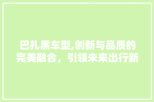 巴扎黑车型,创新与品质的完美融合，引领未来出行新潮流