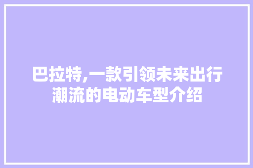 巴拉特,一款引领未来出行潮流的电动车型介绍