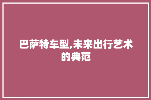 巴萨特车型,未来出行艺术的典范