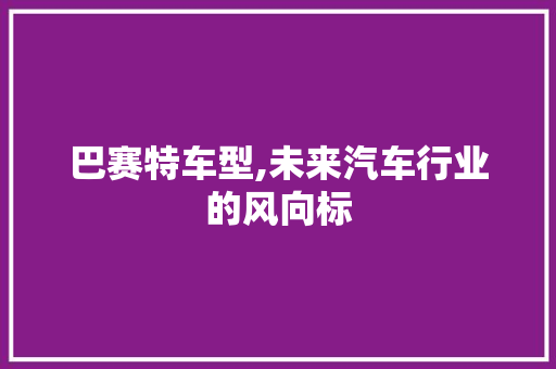 巴赛特车型,未来汽车行业的风向标