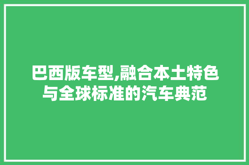 巴西版车型,融合本土特色与全球标准的汽车典范