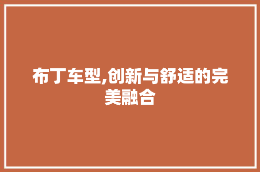 布丁车型,创新与舒适的完美融合