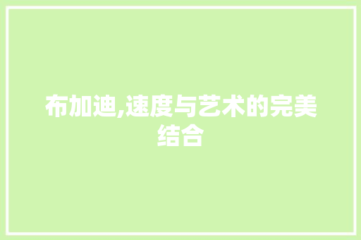 布加迪,速度与艺术的完美结合