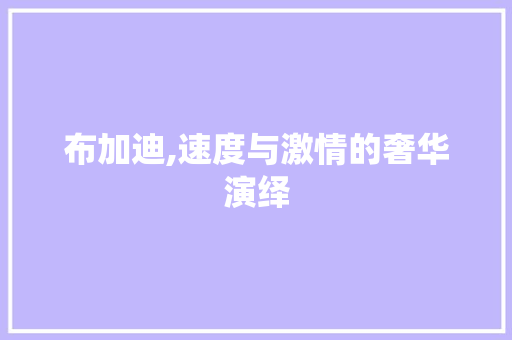 布加迪,速度与激情的奢华演绎