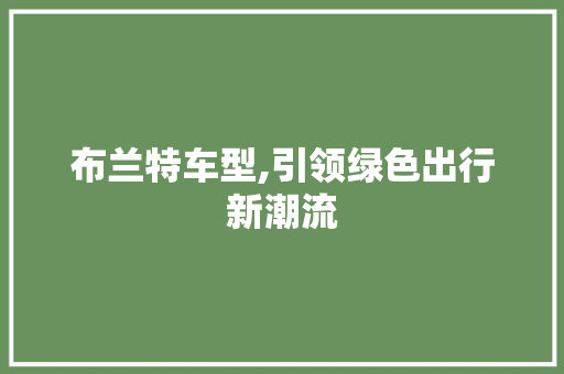 布兰特车型,引领绿色出行新潮流
