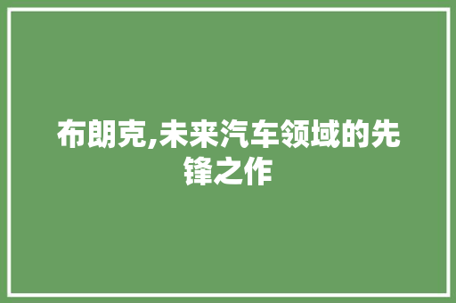布朗克,未来汽车领域的先锋之作