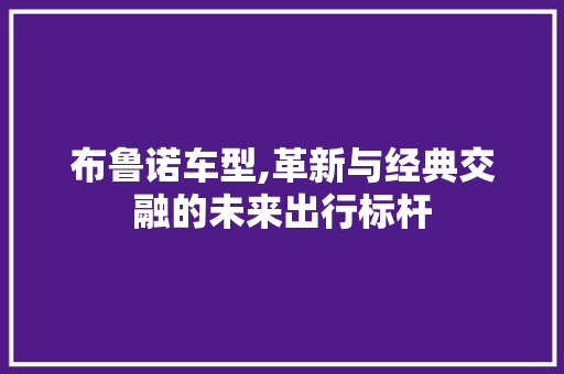 布鲁诺车型,革新与经典交融的未来出行标杆