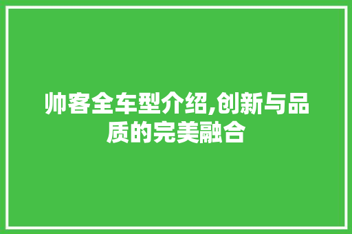 帅客全车型介绍,创新与品质的完美融合